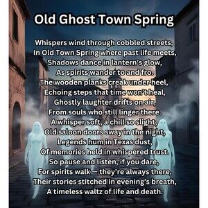 My Gothic Girl Women's T Shirt 2XL Black Ghost Town Poem Whimsy Goth Poem Core